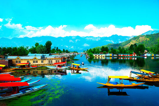 Jammu Kashmir